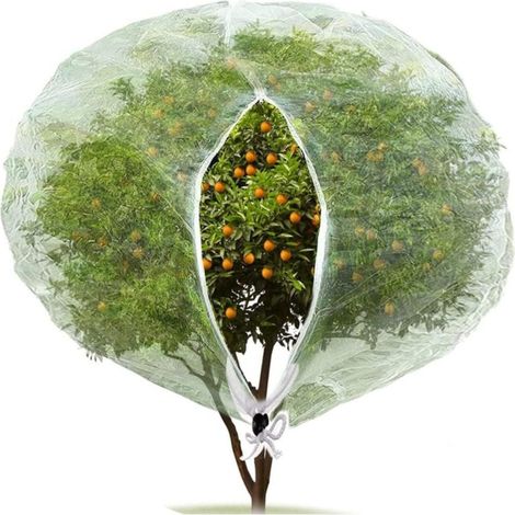Filet De Protection Contre Les Insectes Et Les Oiseaux - 180 x 180 cm - Avec Fermeture Éclair - Pour Jardin Serre Terrasse - 1 Pièce