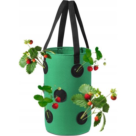 OLLA COLGANTE Bolsa POLLO TOMATES FRESAS FRESAS BOLSITAS 35