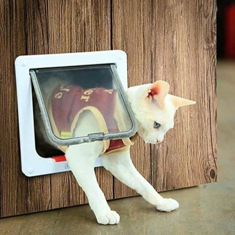 Chatière - - Étanche - 4 modes de basculement - Facile à installer - Pour chat et chiot (1/4)