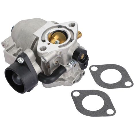 Carburateur avec joint pour moteurs Briggs & Stratton 491031, 490499, 491026, 281707 12HP. (1/5)