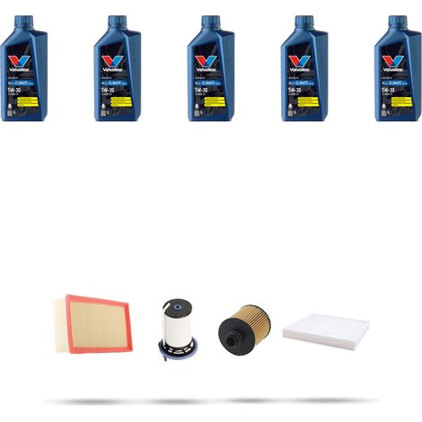 Kit tagliando 4 FILTRI e 5L OLIO compatibile con Fiat 500L 1.6 D Multijet 88kw dal 2014 (1/5)