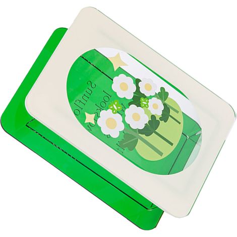 Vase à fleurs en acrylique, porte-bouquet moderne, contenant floral transparent, décoration esthétique pour la chambre, marguerite (1/5)