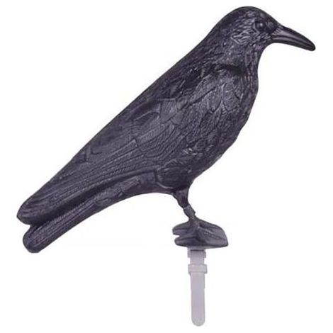 Esschert Design â Epouvantail corbeau en polyĂ©thylĂšne â SystĂšme de fixation pour balustrade â Ăloigne efficacement les pigeons du potager
