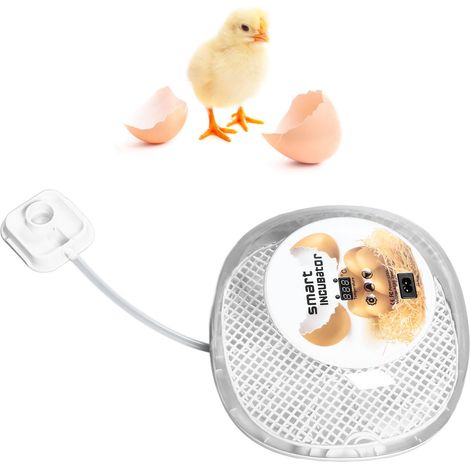 Petit incubateur intelligent pour œufs de pigeons et de volailles, 12 œufs, norme européenne 220 V (1/5)