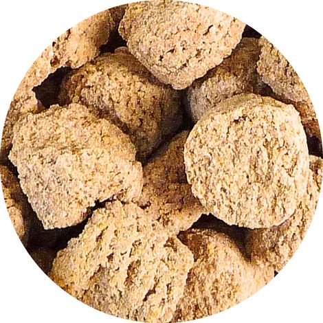 VETAFARM - NOCI DI ARA - Granuli di NOCI per tutto l'anno per pappagalli AR e altri pappagalli sudamericani 2 kg (1/3)