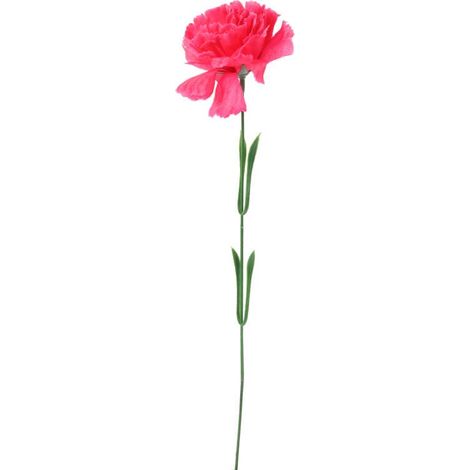 Einzelne dunkelrosa Nelke, 46 cm (1/3)