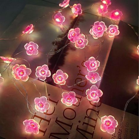 Guirlande Lumineuse Étoile, 10 LED, Décor Jardin, Terrasse, Extérieur, Balcon, Mariage, Noël, Fête, Patio, Clôture, Intérieur, Chambre, Allée, Sapin, Ambiance Romantique (1/5)