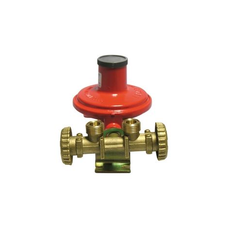 MINI CENTRALINA CON REGOLATORE 2205 SENZA MANICHETTE- Kg./ h 10- NOVAC- pezzi 1
