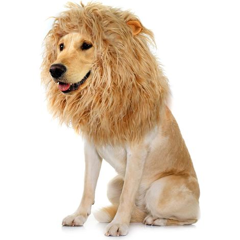 2 Löwenmähne Perücke pour Hunde avec Ohren, lustige Haustierkostüme pour Halloween Noël (taille L, jaune) (1/5)