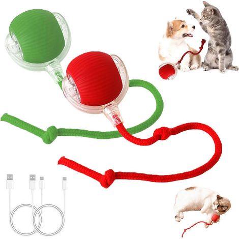 Lot de 2 jouets interactifs à mâcher pour chats d'intérieur (1/5)