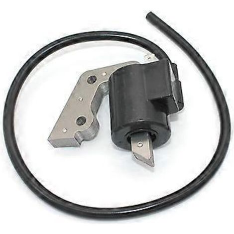 Bobine d'allumage 21171-2167 pour FA210 FA210D FA210R