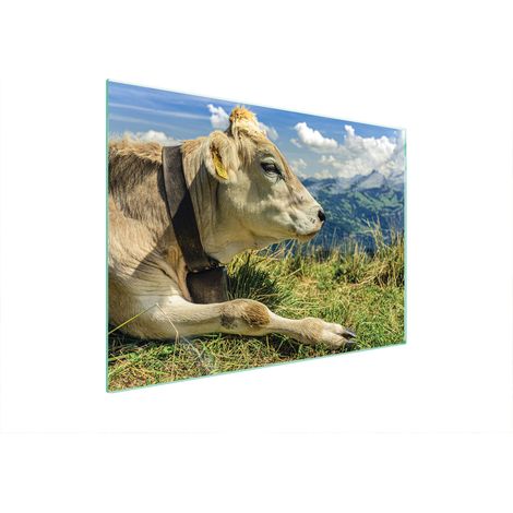 PIASTRA PROTETTIVA IN VETRO PER STUFA 70x52 COW (1/5)