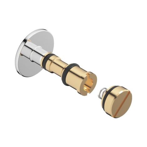 Kit de réparation DO - Pièces détachées 12863970 Chrome (1/2)
