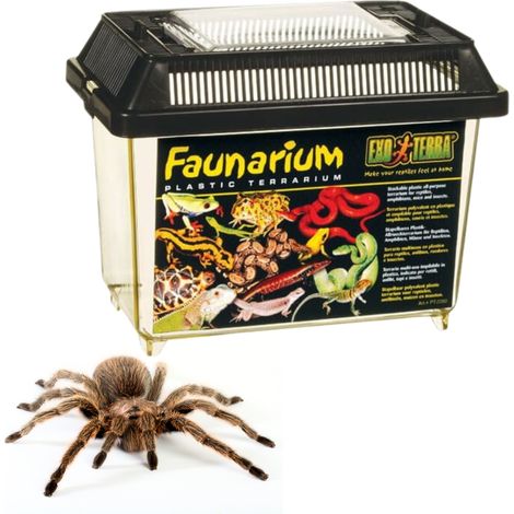 Exo terra Faunarium Mini 18 x 11,5 x 14,5 cm EX-2501 (1/5)