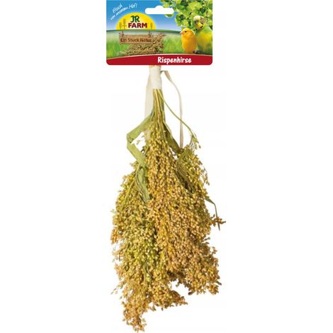 JR FARM Hirse in Kolben zum Knabbern für alle Papageien 400g (1/5)