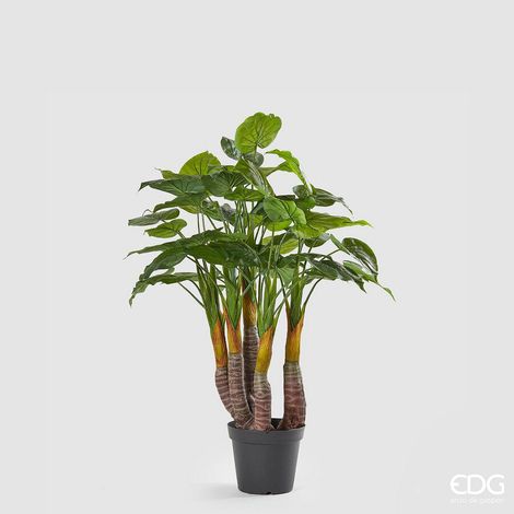 EDG Enzo De Gasperi Filodendro Pianta con Vaso Artificiale H 120 Cm Green (1/5)