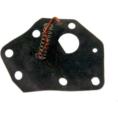 Membrane pompe BRIGGS ET STRATTON 299637