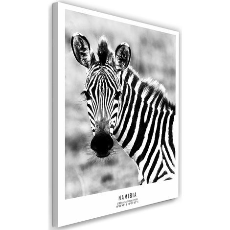 Tableau sur toile Zèbre Animaux Nature 40x60 (1/5)
