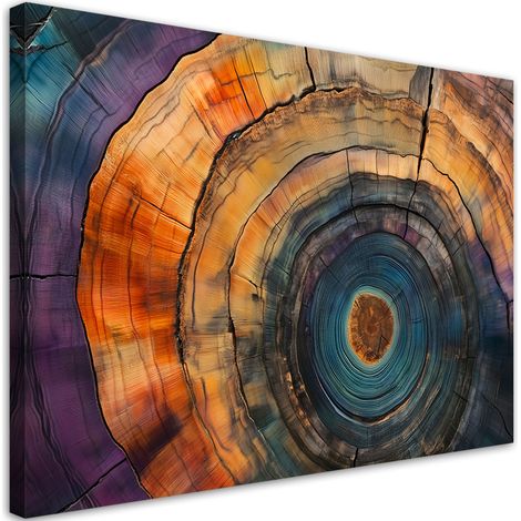 Tableau déco Arbre coloré Anneaux Abstraction 60x40 (1/5)
