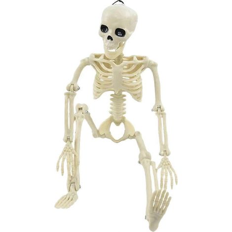 Squelette factice, accessoire d'Halloween, imitation de squelette humain. Modèle d'os. (1/5)