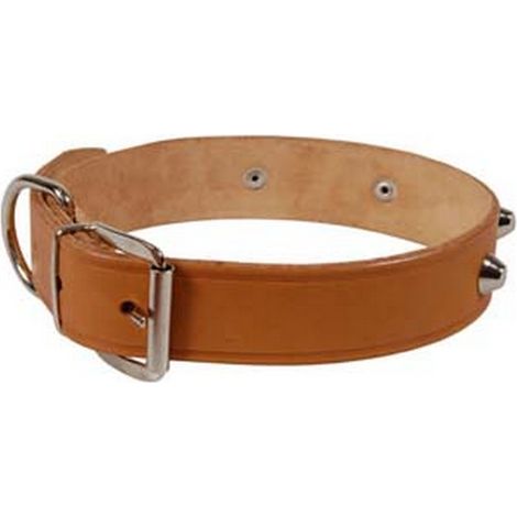 6PZ COLLARE CANI CUOIO EXTRA NATURALE FINTA CUCITURA BORCHIE cm56x3 cuoio
