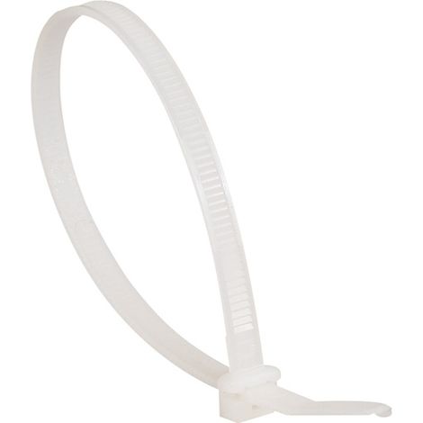 Colliers de coloration incolore pour denture extérieure 4,6 x 180 mm, serrure âge 1,6 à 46 mm, boîte de 100 pièces