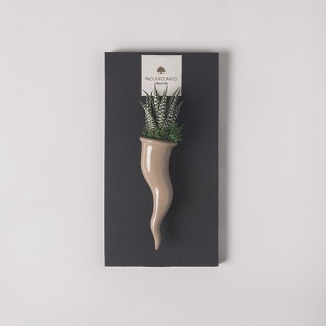 Pianta grassa succulenta in vaso ceramico artigianale Cornetto - Beige