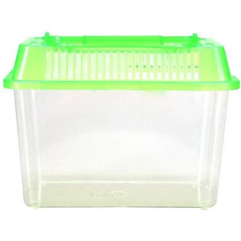 1 Stück Goldfisch-Aquarium