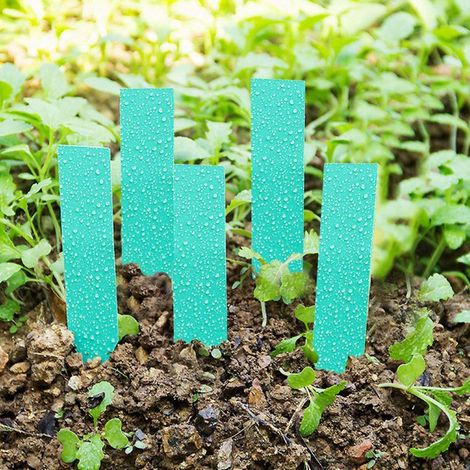 100 PCS Étiquettes de semences végétales Étiquettes de plantes en plastique Marqueurs Étiquettes de jardinage de pépinières imperméables pour Potager(vert) (1/5)