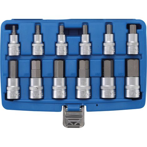Bgs Technic – Coffret de 12 embouts hexagonaux 5-22 mm – Acier chrome-vanadium – Douilles mâles 1/2 – Chromé mat pour usage intensif