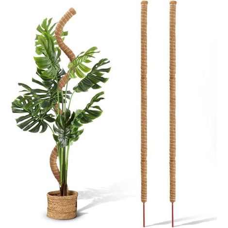 2 tuteurs en fibre de coco de 122 cm (48 pouces), pliables, pour guider la croissance des plantes vers le haut, idéaux pour le support des plantes en pot et les treillis. (1/5)
