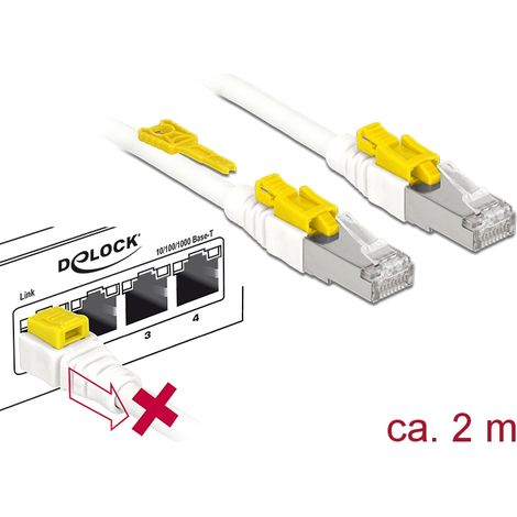 Delock Cable RJ45 Secure Cat.6A 2 m