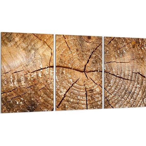 Piastra protettiva in vetro per stufa 3x30x52 (1/5)
