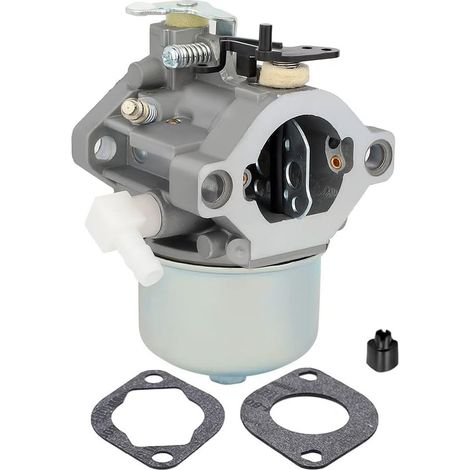 699831 694941 Vergaser 28D702 28D707 28M707 Vergaser für Rasenmähermotor (1/5)