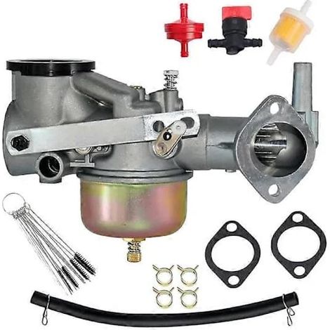 Ecleanfy - Carburateur 491590, série 191700, remplace le 390811, Briggs & Stratton, argent.
