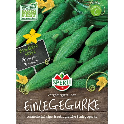 Sperli Einlegegurken Vorgebirgstrauben - Gemüsesamen (1/2)