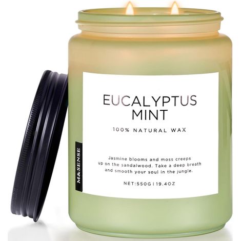 Duftkerze Eukalyptus Minze 550g große Kerze 90h brennend Aromatherapie Spa-Yoga (1/5)
