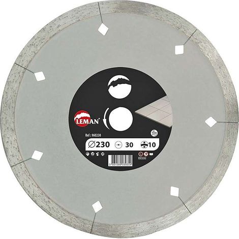 Disque Diamant LEMAN segment lissetaille125 x 22 (1/4)
