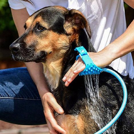 Accessoire de douche pour animaux de compagnie, tuyau de douche détachable en silicone ABS pour chien, douchette pour laver, frotter, masser et toiletter (1/5)