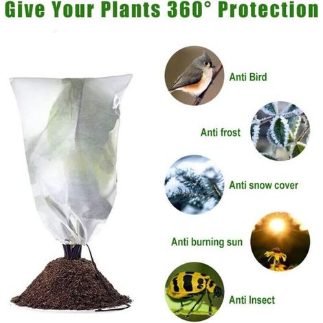 Housses Protection Gel Plantes 100x120cm Couvertures Hivernales Extérieur Réutilisables Sac Cordon Anti Froid (1/3)