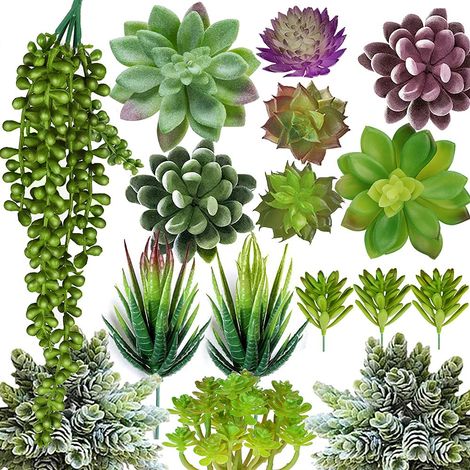 Plantes succulentes artificielles - Ensemble de 16 pièces, plantes succulentes artificielles, fausses plantes succulentes non plantées (1/5)