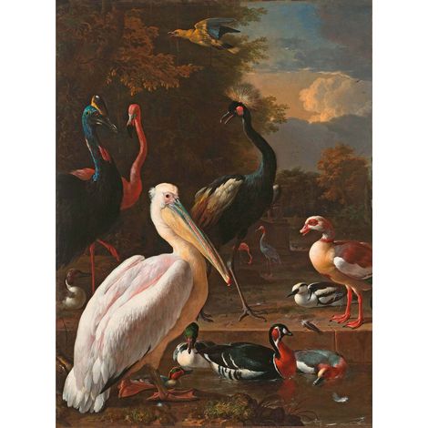 Papier peint panoramique oiseaux effet peinture Tapisserie panoramique oiseaux tropicaux pour couloir Papier peint panoramique pour cage d'escalier (1/2)