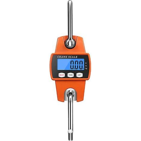 Balance de grue 300 kg, électronique numérique robuste, crochet en acier inoxydable, écran LCD, système d'équilibrage des charges par élingue-AquaForge (1/5)