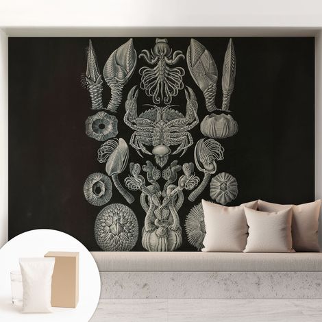 Tapete Vliestapete mit Kleber - trendige Wanddeko - elegant Fototapete für Wohnzimmer - Schlafzimmer Unterwasserformen 208x146 cm (1/5)