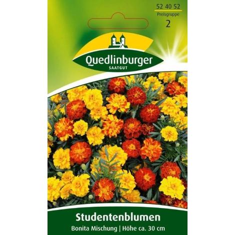 Quedlinburger Studentenblumen Bonita Mischung - Blumensamen (1/2)