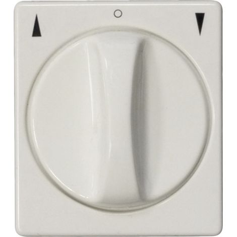 Kaiser Nienhaus 321131 Drehschalter Aufputz
