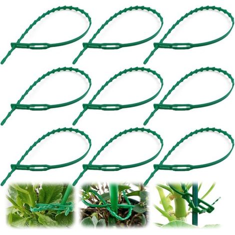 100 pezzi di fascette regolabili per piante, 6,7 pollici, flessibili, seghettate, in plastica verde, per piante rampicanti, viti, fiori, pomodori - verde (1/5)