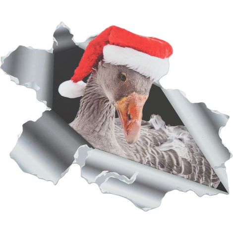 Aimants de réfrigérateur de Noël, étanches, avec effet 3D, autocollants magnétiques pour réfrigérateur CT123 (1/5)