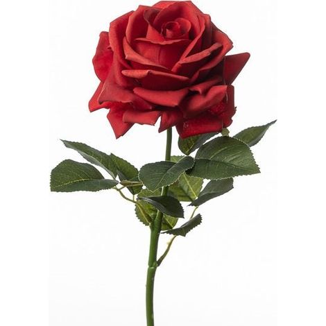 Conti Ramo Rosa H 75 Cm Red