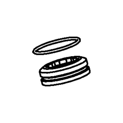 Hansa Dichtungsring 59913996 (1/2)